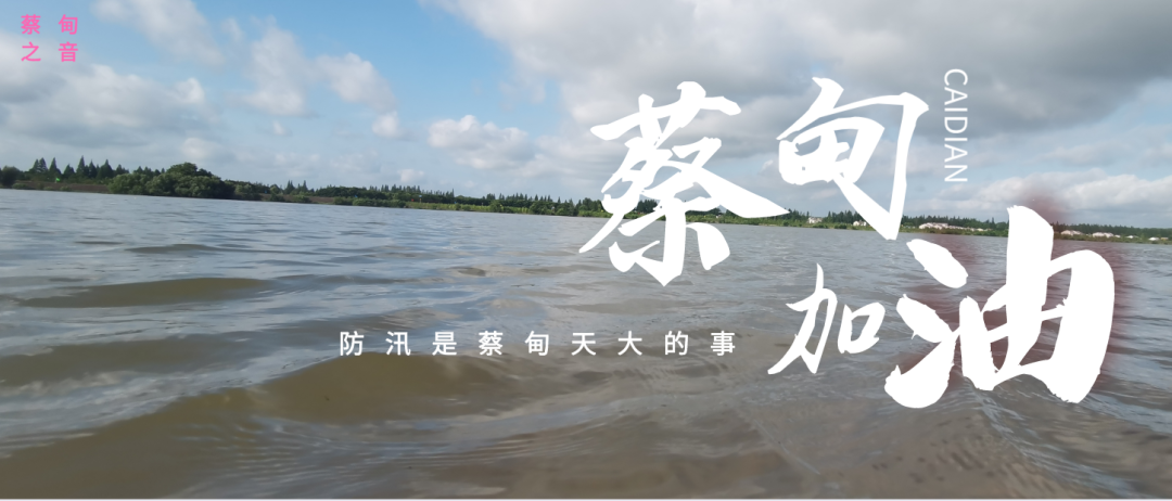 蔡甸區(qū)啟動防汛ⅰ級應(yīng)急響應(yīng)，做好鋪土釘防汛木樁工作