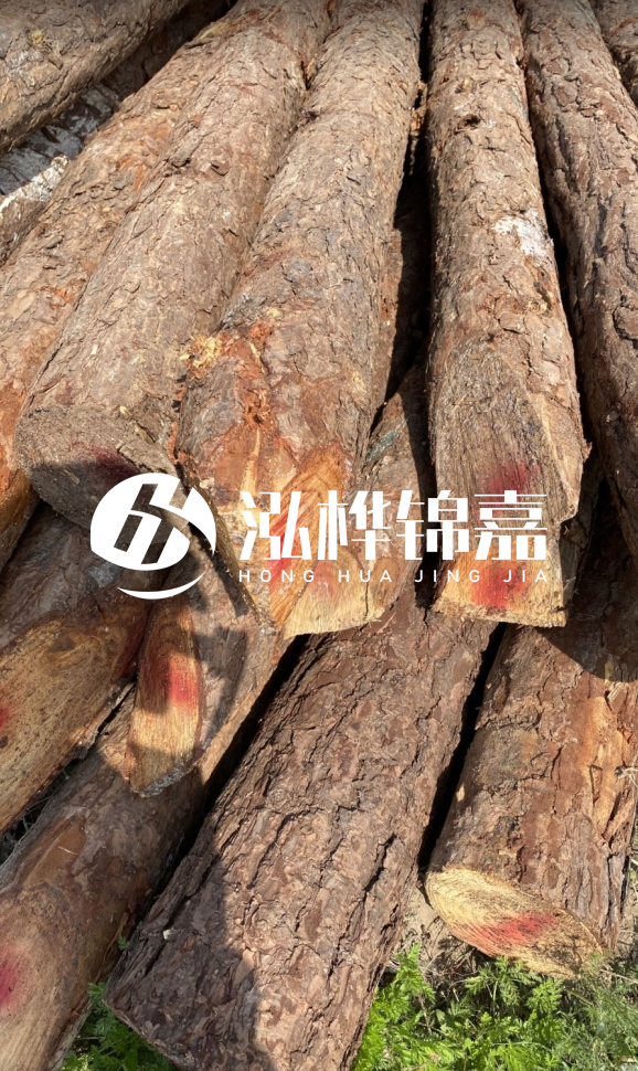 <strong>松木樁和杉木樁的用途區(qū)別？哪個(gè)更適合打樁用？</strong>