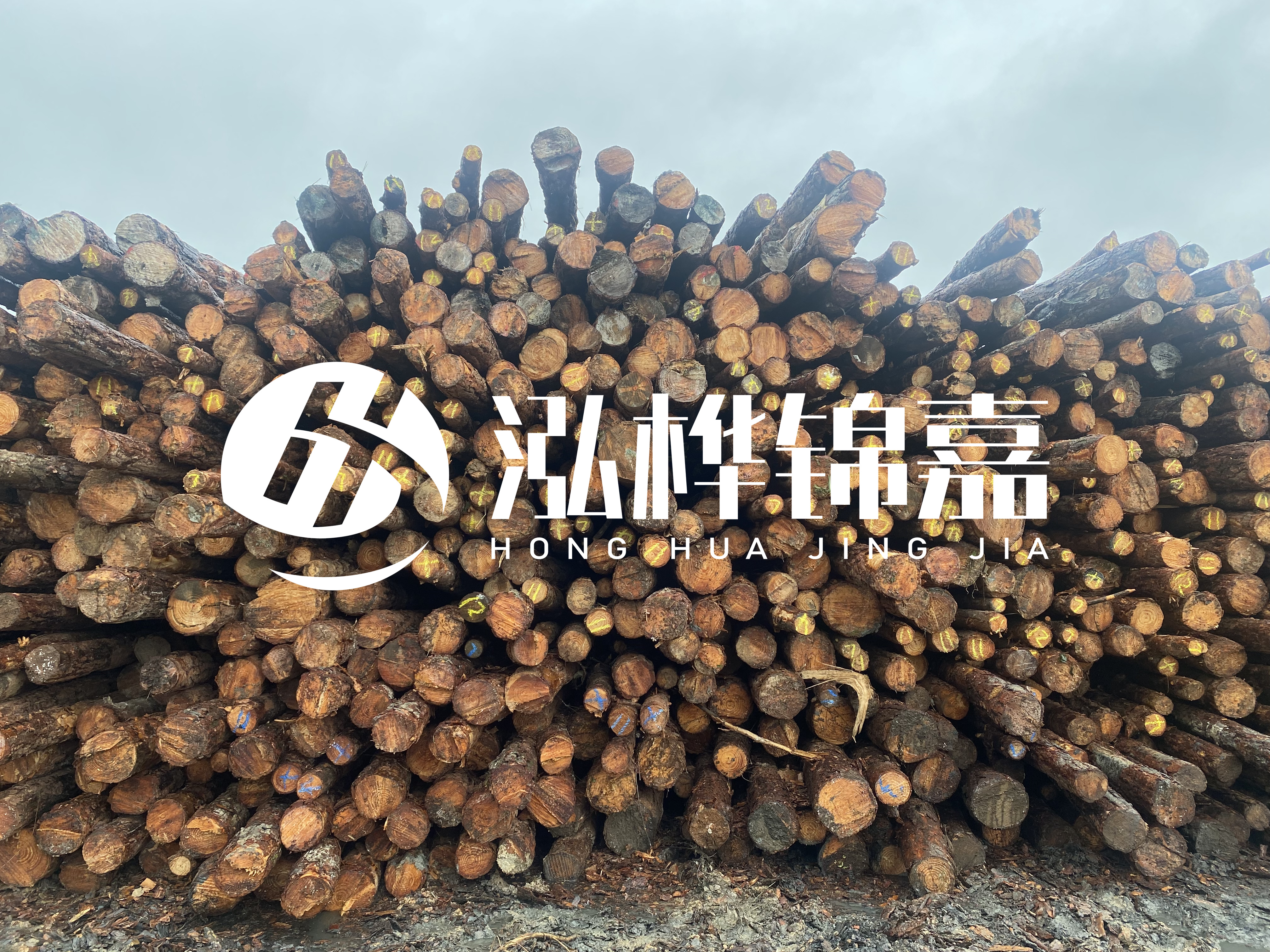 松木樁的直徑一般取多少？