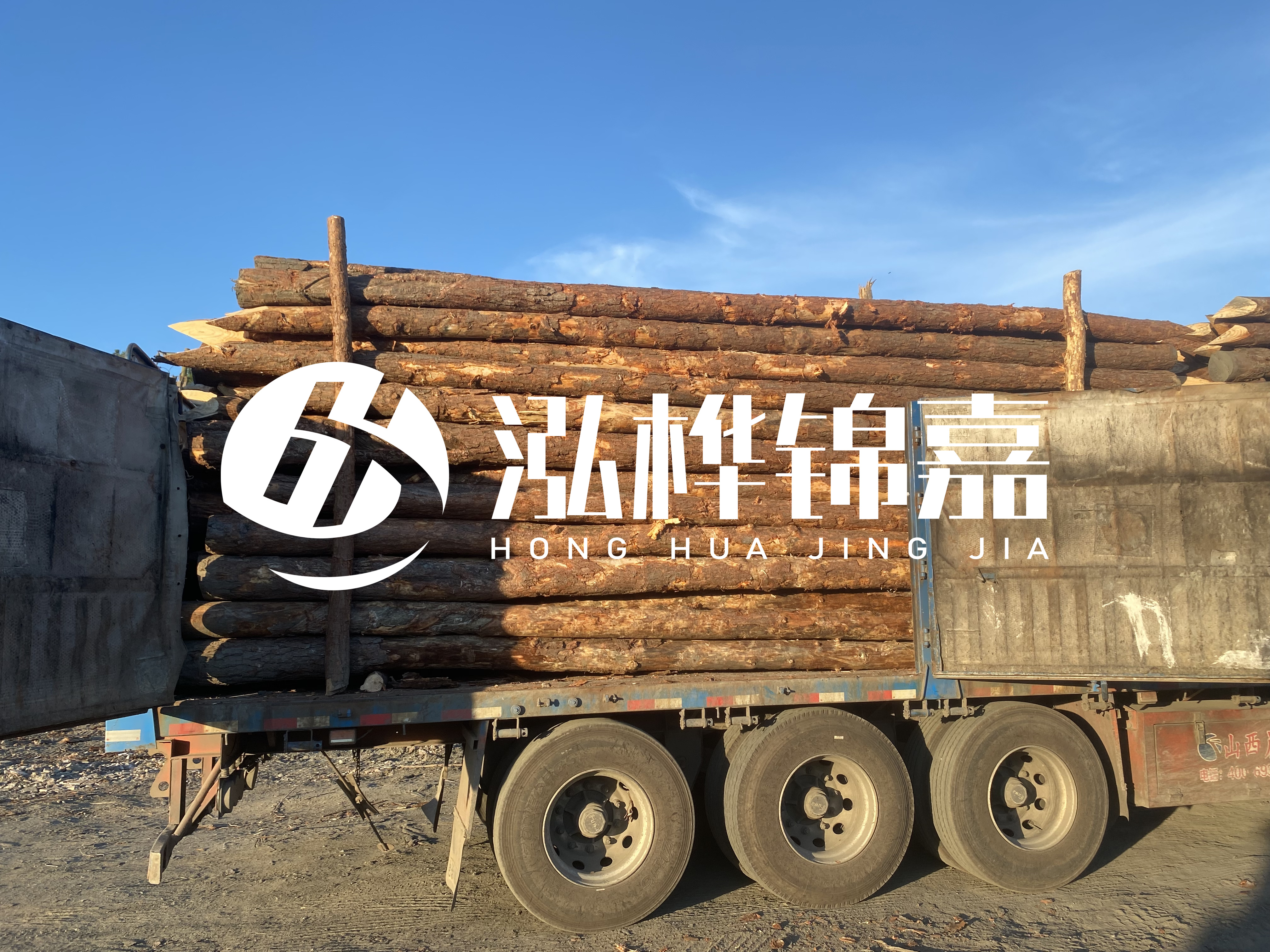 河道治理為什么要用松木樁？