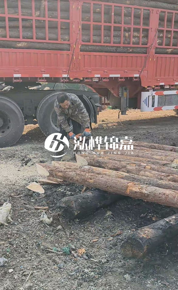 2米松木樁多少錢一根？15-20CM直徑價格是多少？