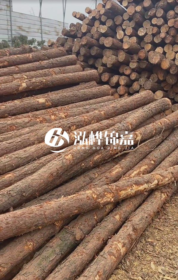 山西河道木樁護(hù)岸價(jià)格多少錢(qián)一米-每米河道打樁要花多少錢(qián)？