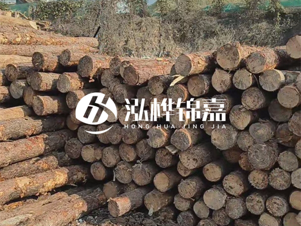 落葉松木材的主要產地在哪里？為什么比其他松木更耐腐蝕？