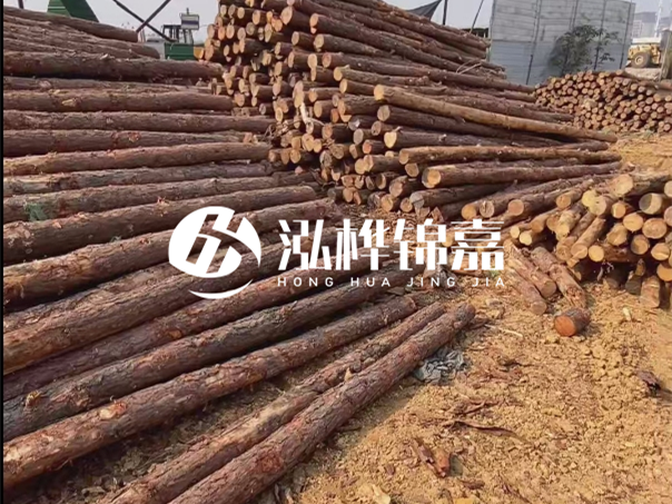 河道木樁施工遇到淤泥怎么辦？打多深才能防沖刷？