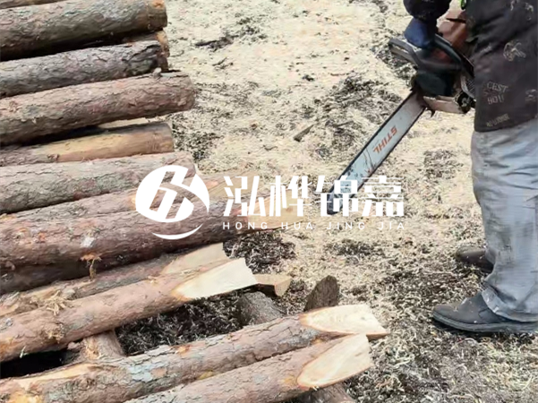 杉木樁批發(fā)廠家哪家好？產地直供渠道推薦！