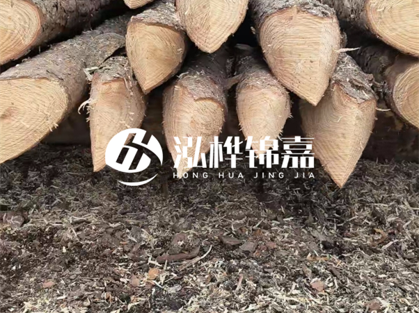 打樁木樁與鋼樁相比有哪些優(yōu)缺點？如何進行后期維護？