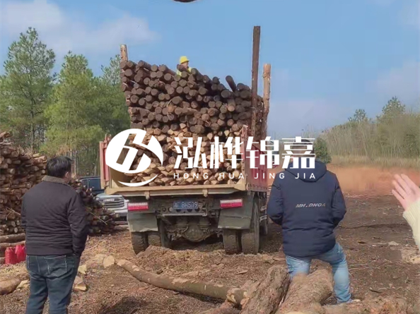 松木樁價格是按米算還是按根算？6米松木樁批發(fā)價每根多少錢？