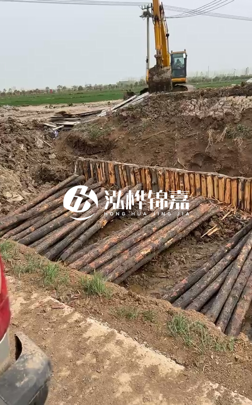 4米直徑12-13油松批發(fā)價最低多少？報價含稅含運嗎？