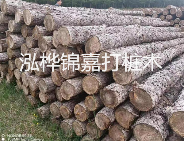 高效修補(bǔ)，保駕護(hù)航！水泥路面高強(qiáng)度修補(bǔ)料為您解決煩惱！