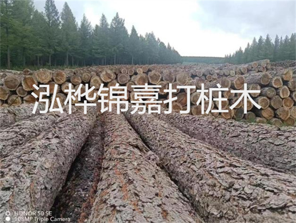 高效施工，圓松木樁助力建筑工程進展順利