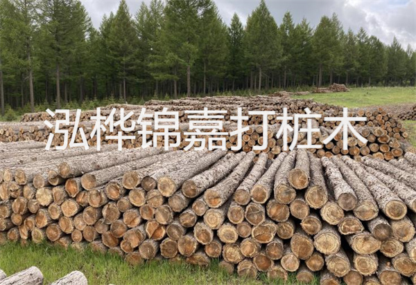 松木樁能施工嗎？探究視頻揭秘真相！