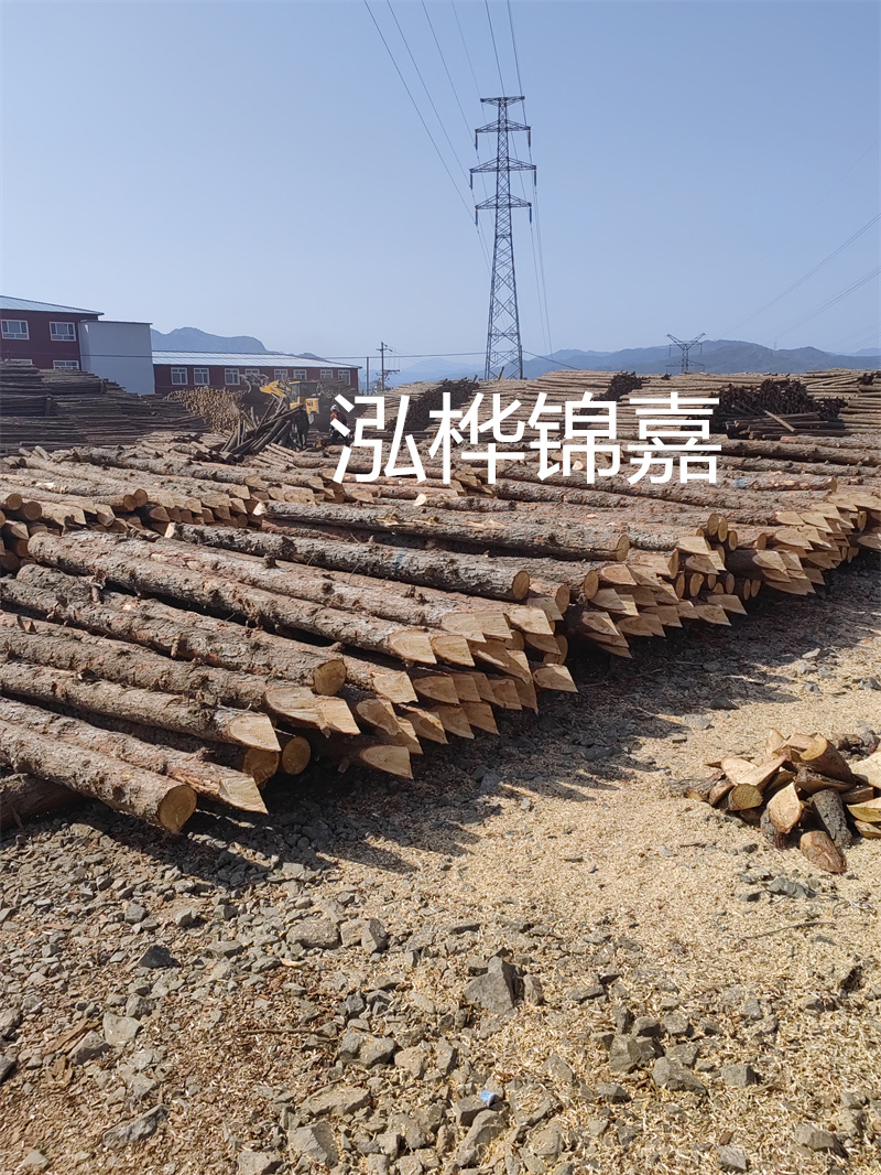 深入了解松木樁基礎(chǔ)施工單價(jià)，助力工程建設(shè)順利進(jìn)行！