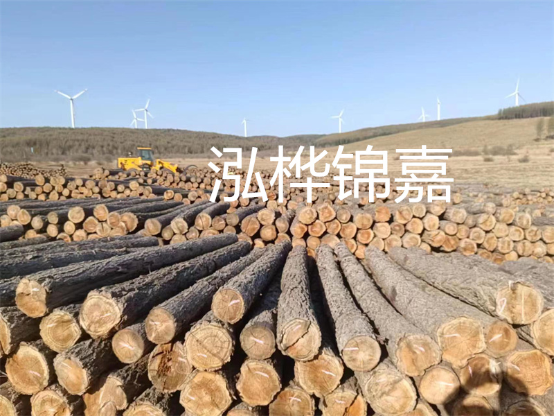 溫州松木樁施工廠家——為您打造堅(jiān)固穩(wěn)定的建筑基礎(chǔ)！