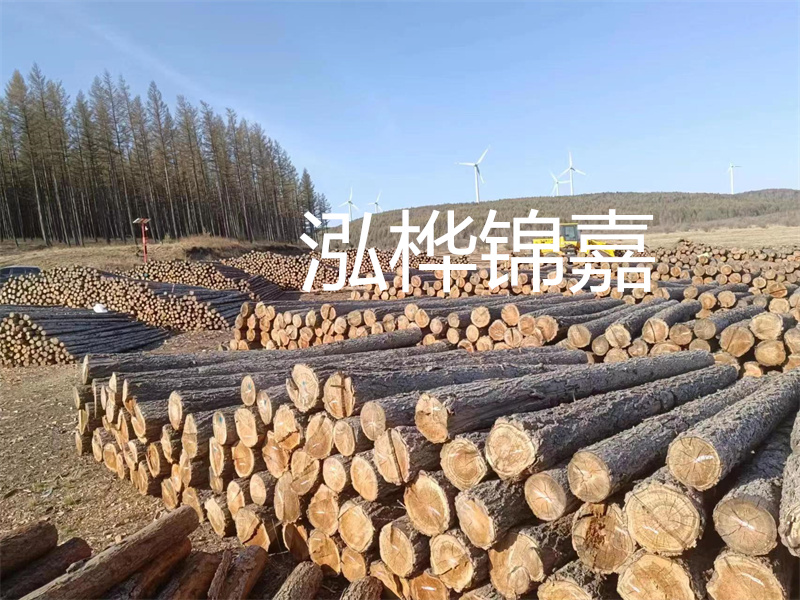 用路基松木樁施工方案提升工程質(zhì)量描述：了解路基松木樁施工方案的重要性，提高工程質(zhì)量關(guān)鍵詞：路基松木樁，施工方案，工程質(zhì)量