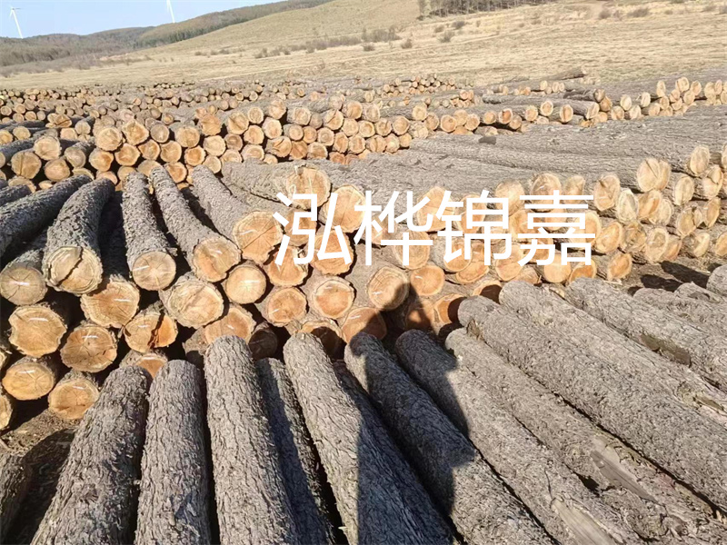 選擇合適的路緣石尺寸，打造美麗道路