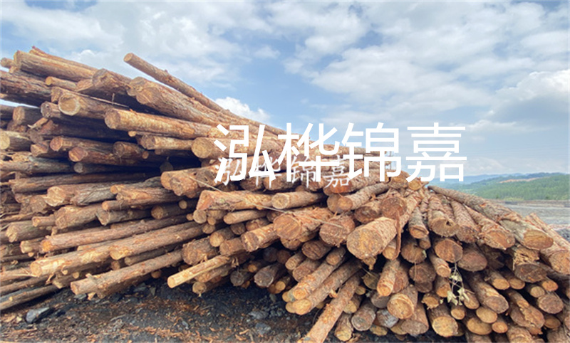 濮陽松木樁，卓越品質(zhì)，安全可靠