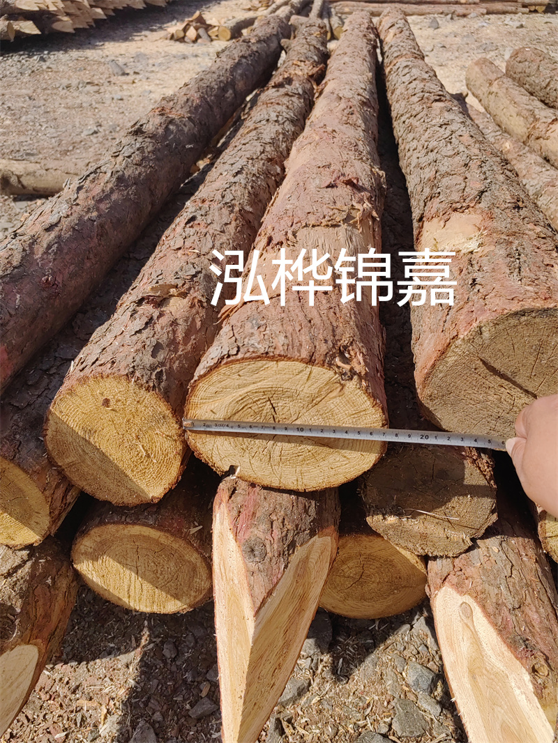福建哪里買松木樁？