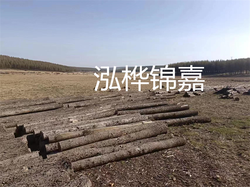 鄂州松木樁哪里好？推薦泓樺錦嘉松木樁業(yè)！